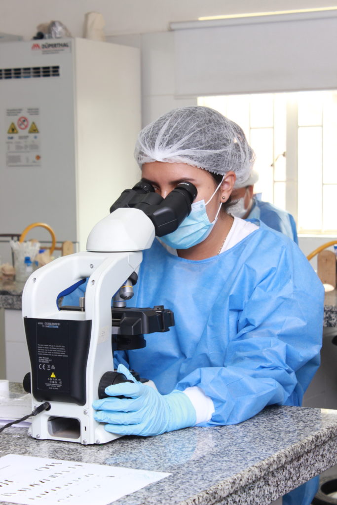 Investigación Corpas