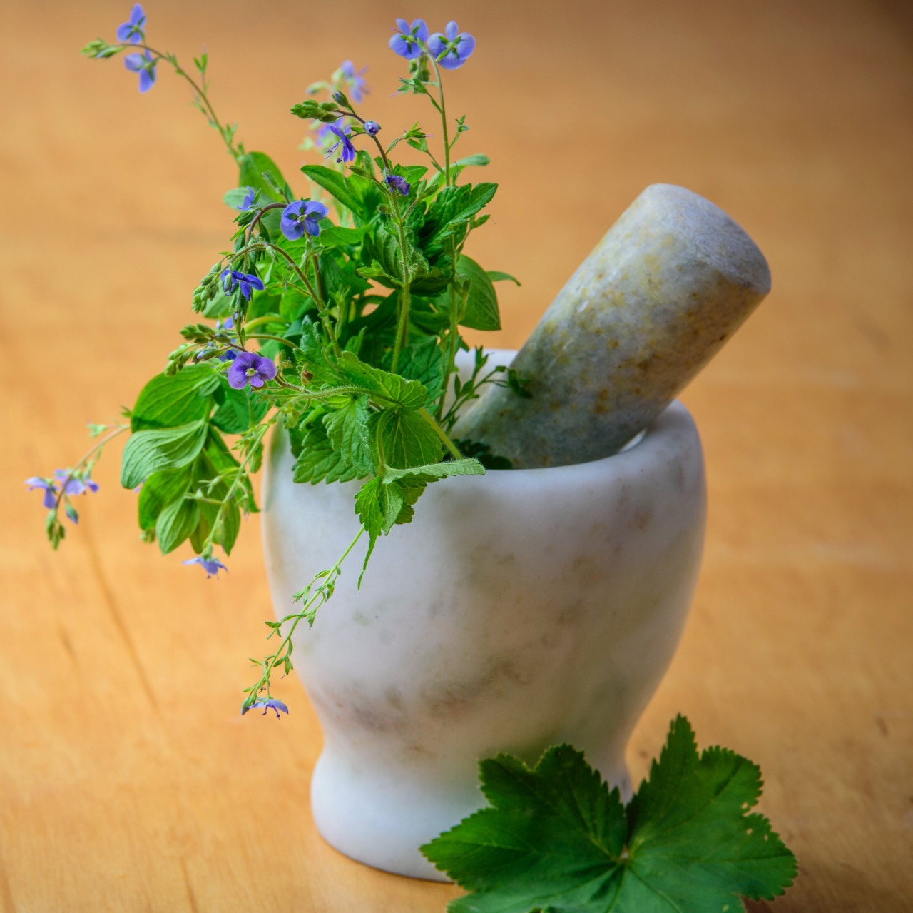 Farmacología Vegetal: seguridad y eficacia